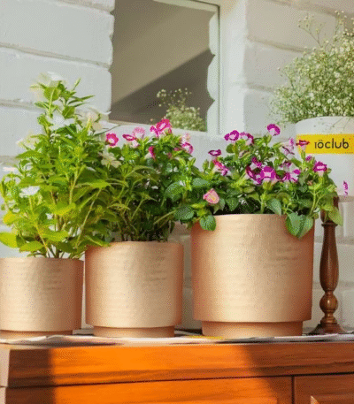 Gold Planter Set