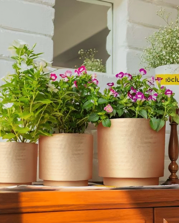 Gold Planter Set