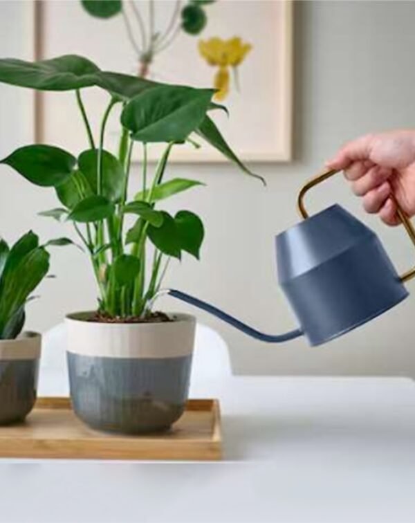 Sleek Metal Watering Can