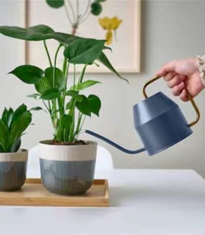 Sleek Metal Watering Can