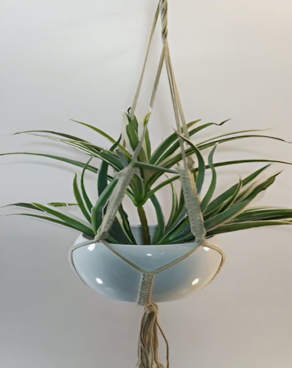 Iron Hanging Pot with Jute Rope