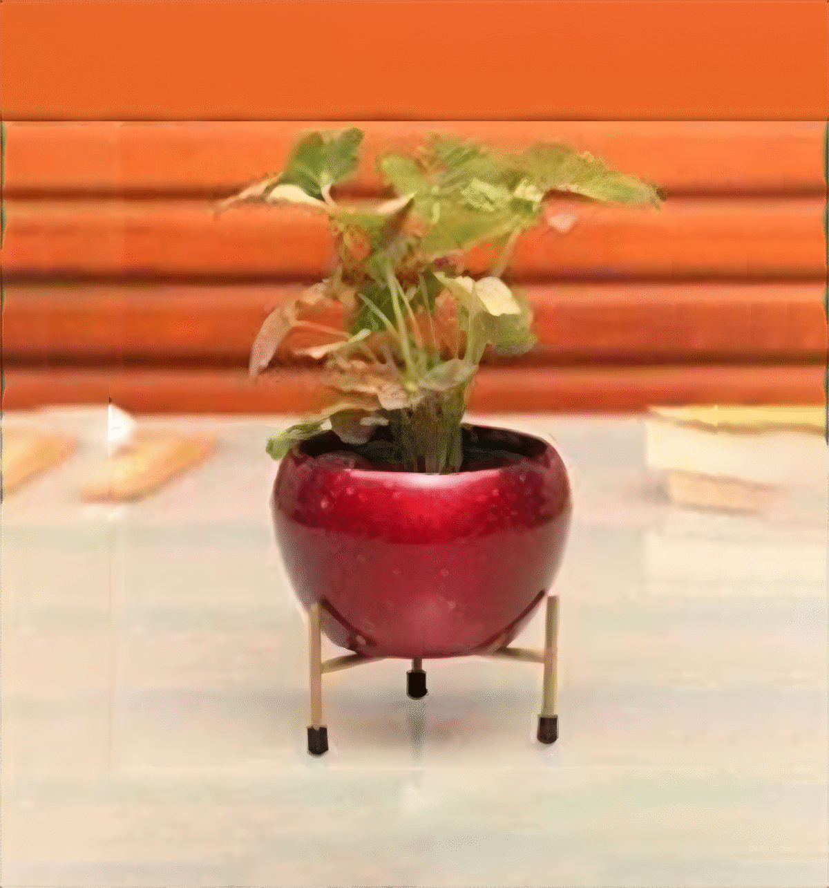 artflora