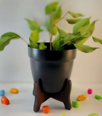 Metal Pot with Wooden Stand