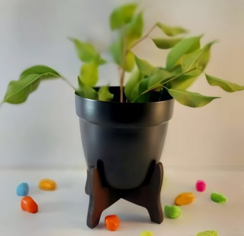 Metal Pot with Wooden Stand