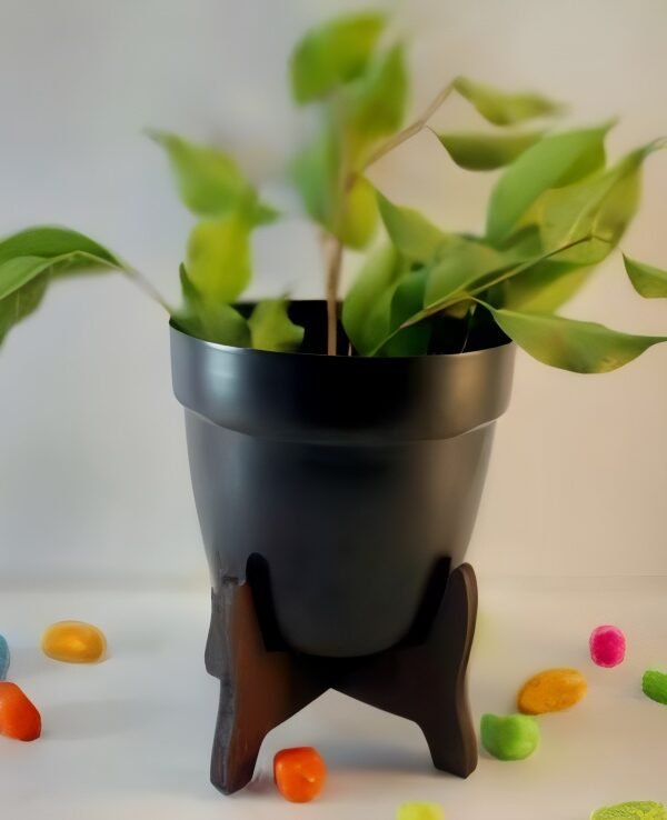Metal Pot with Wooden Stand
