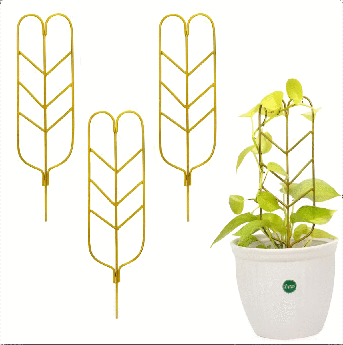 artflora