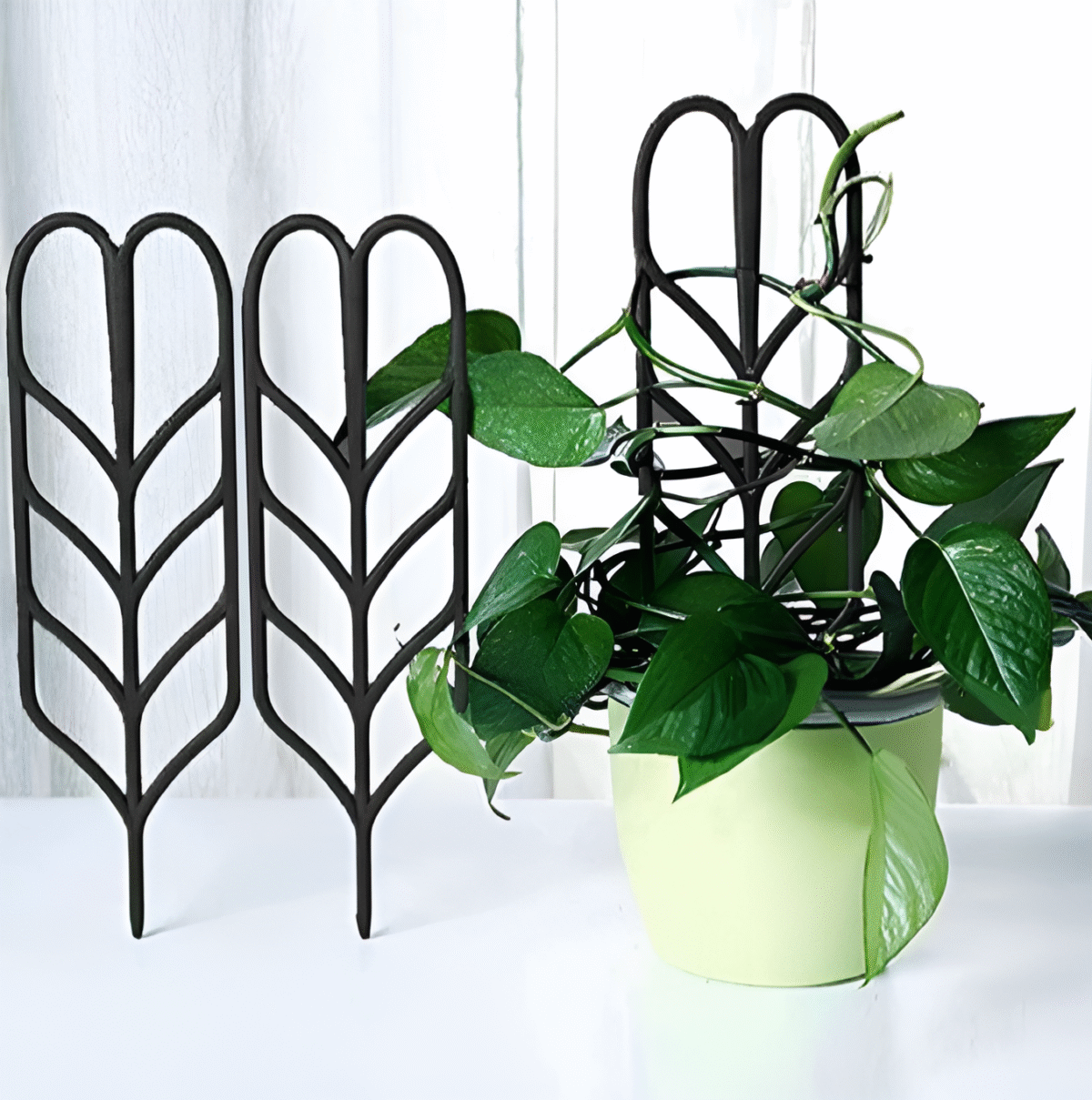 artflora