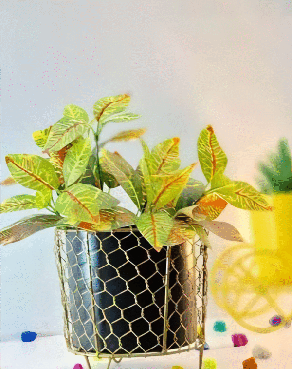 Hexagonal Mesh Metal Pot with Stand – Black & Gold