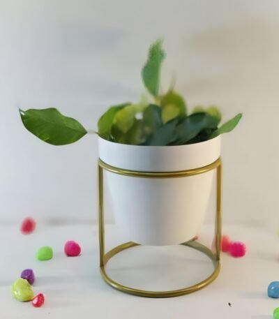 Round Cylinder Stand Planter