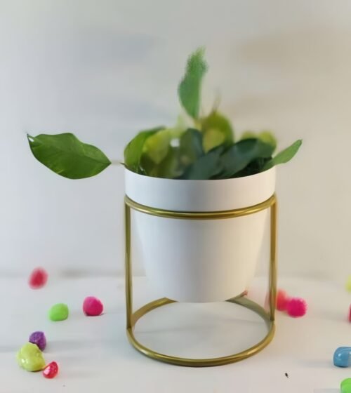 Round Cylinder Stand Planter