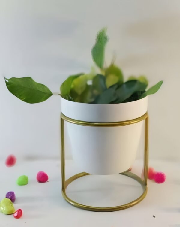 Round Cylinder Stand Planter