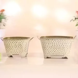artflora