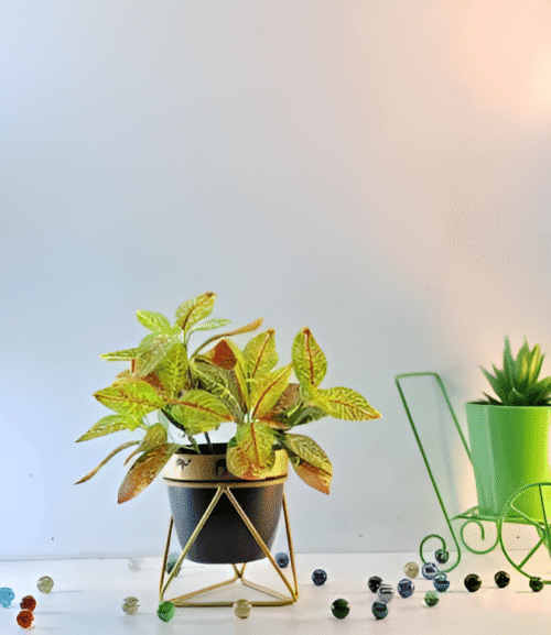 Decorative Camel Print Pot with Stand