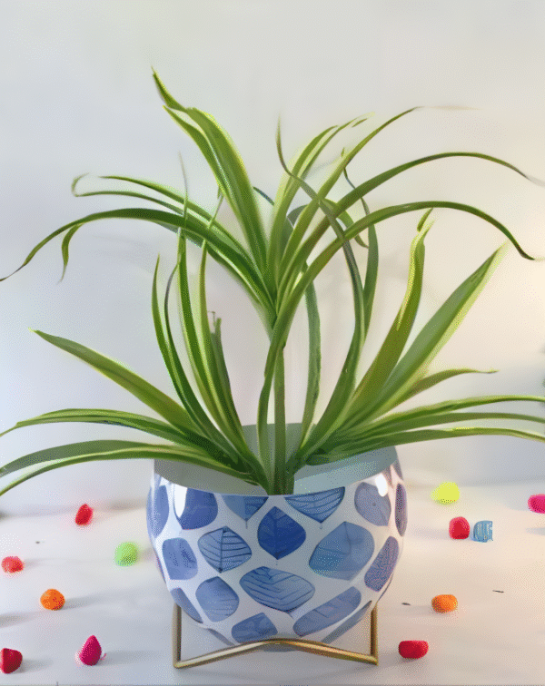Round Patterned Metal Planter