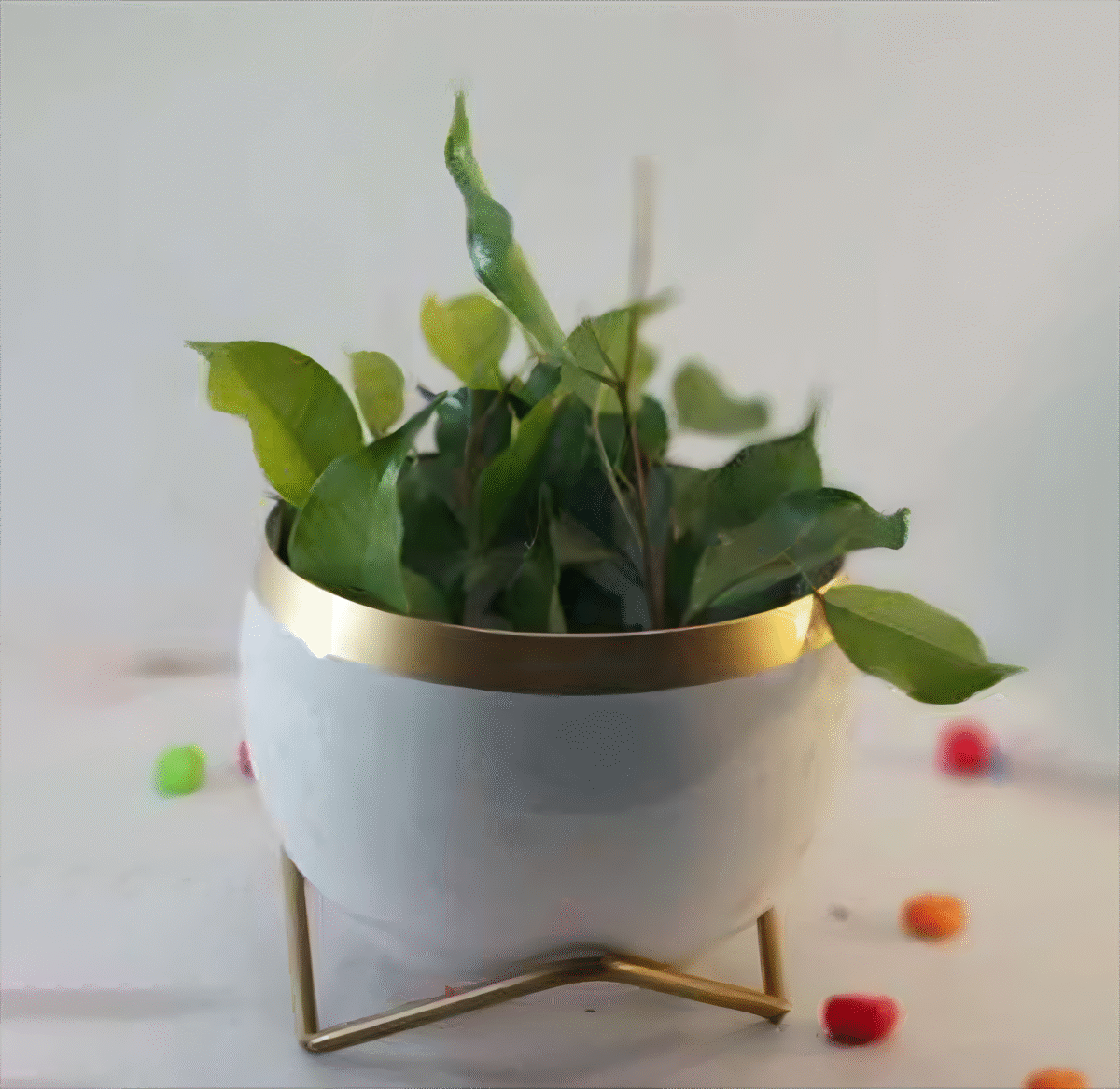 artflora