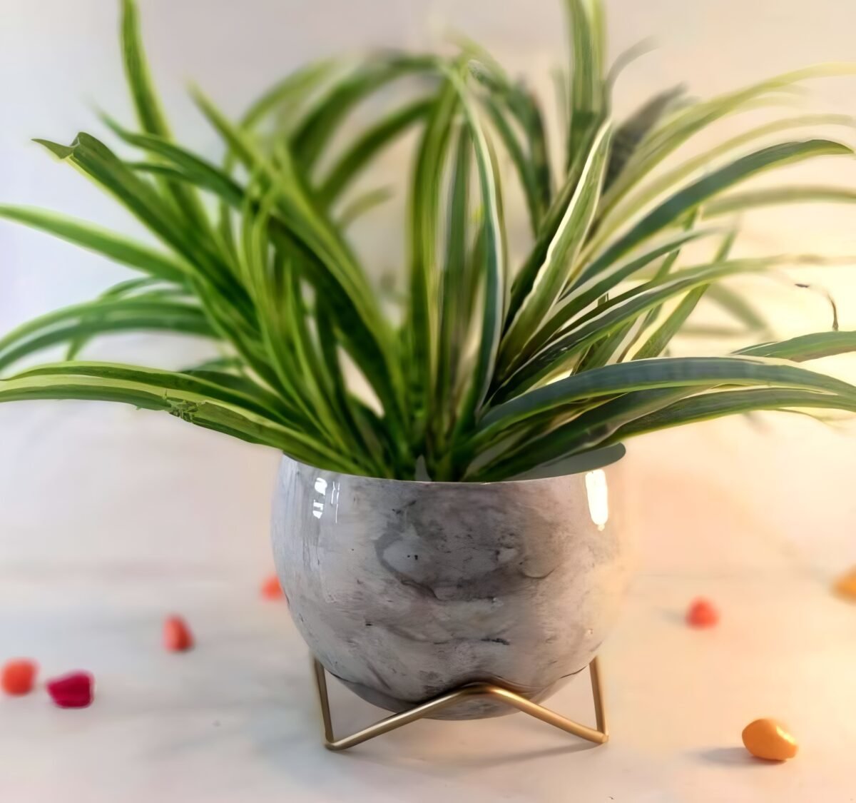 artflora
