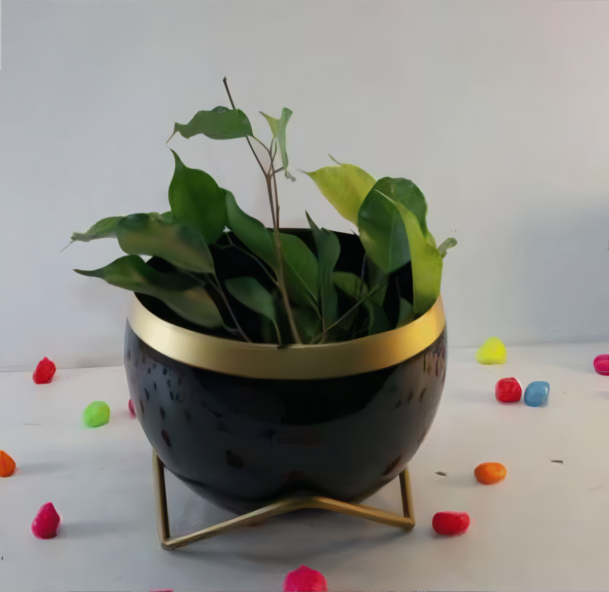 artflora
