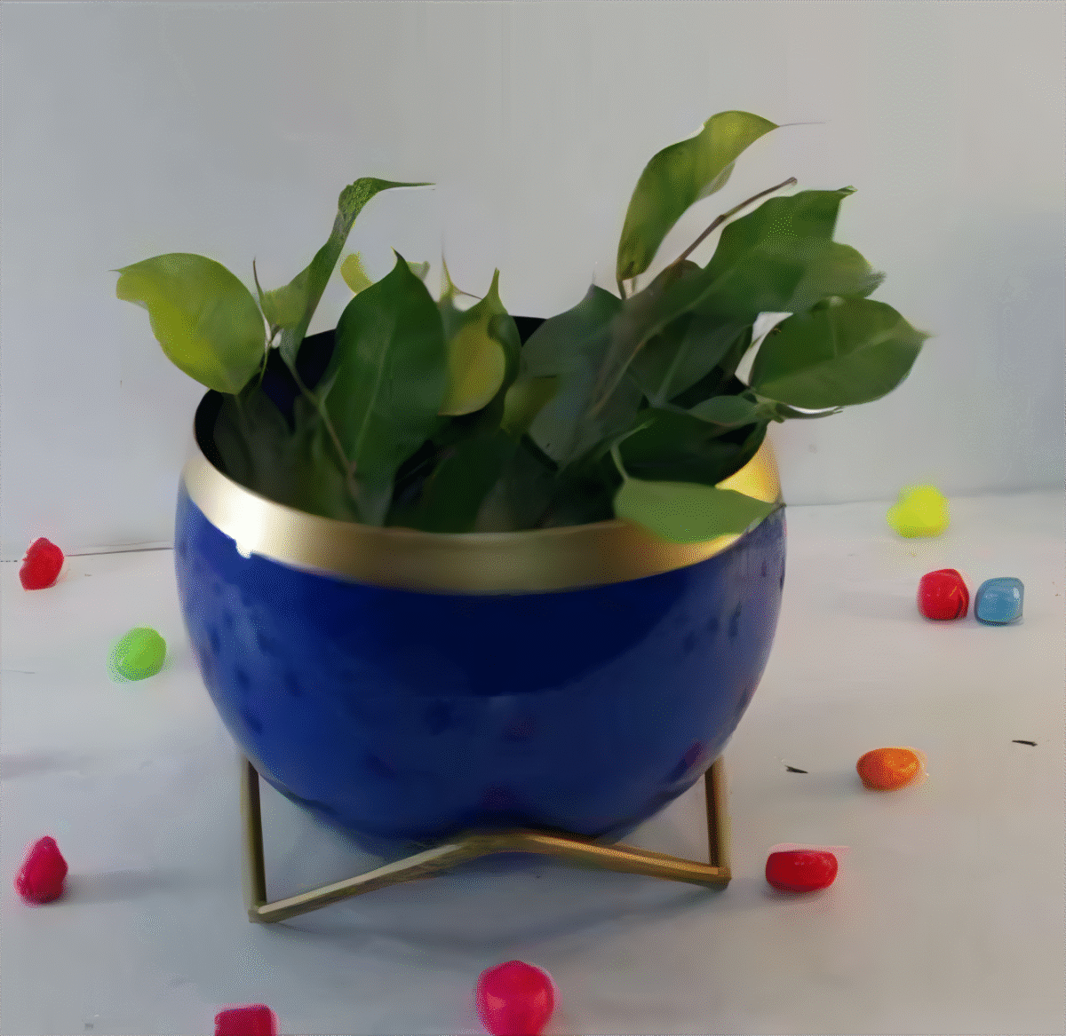 artflora