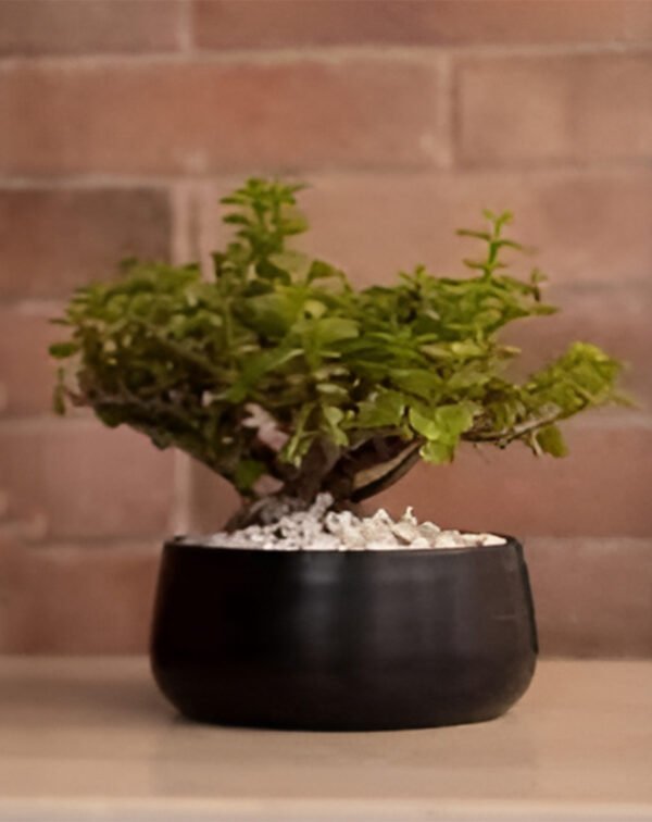 Metal Handi Pot