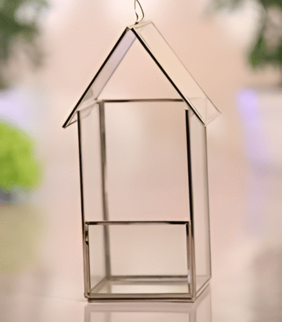 Hut Shaped Terrarium