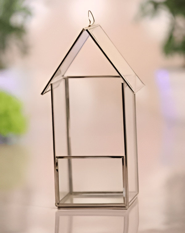 Hut Shaped Terrarium