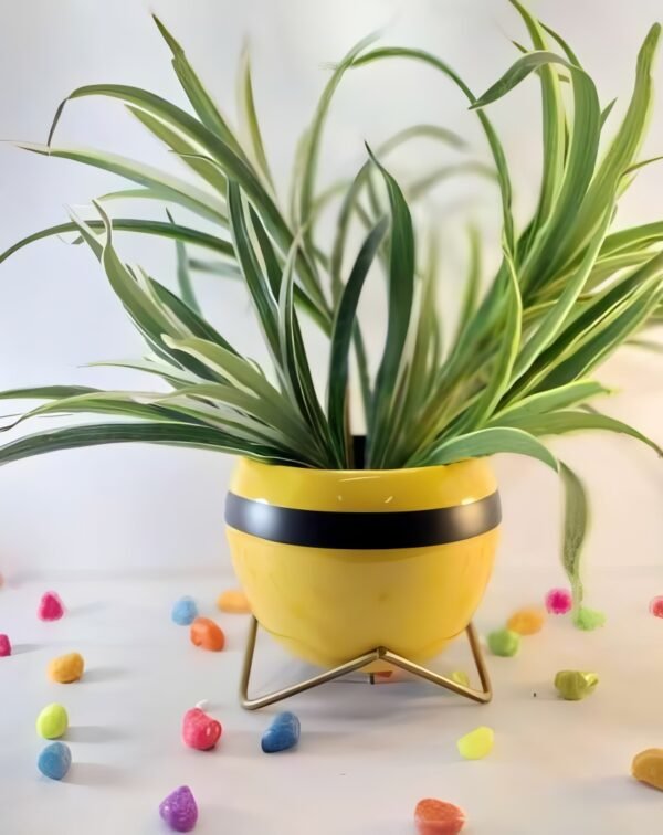 Round Yellow Gloss Metal Planter