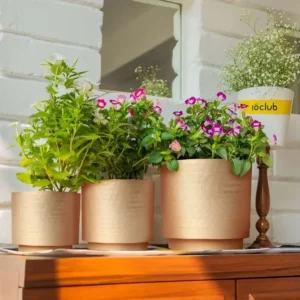 artflora