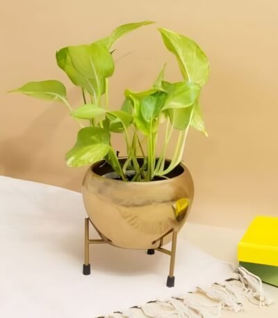 Round Metal Planter with Stand