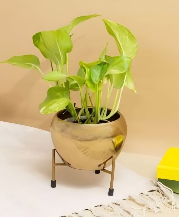 Round Metal Planter with Stand