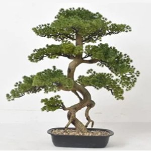 artflora