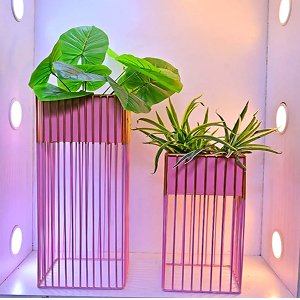 artflora